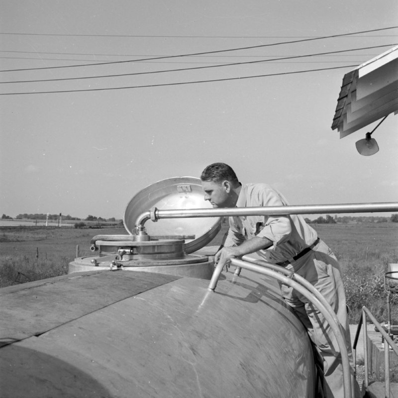 060_the milk to the processing plant. (undated).jpg